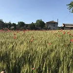 Tra I Campi Di Papaveri 3*