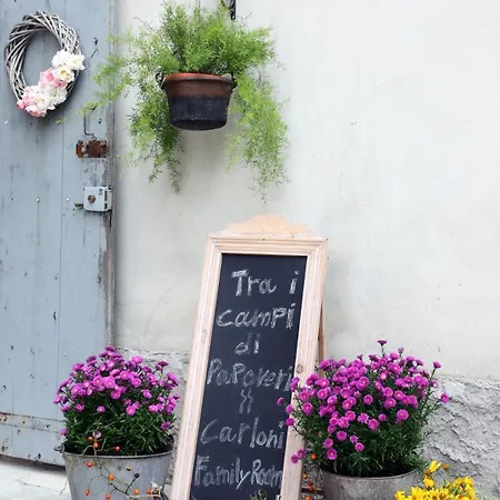 לינה וארוחת בוקר Tra I Campi Di Papaveri Medesano