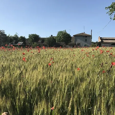 Tra I Campi Di Papaveri 3*