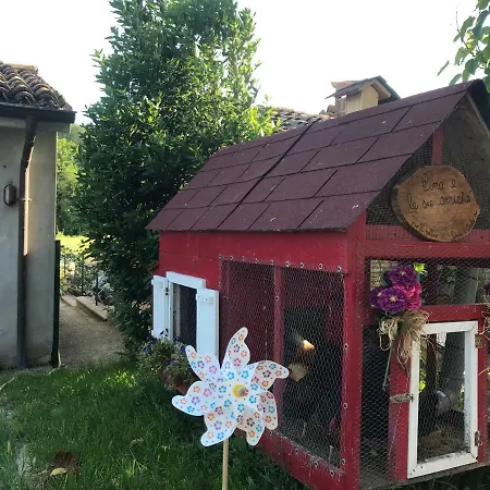 Tra I Campi Di Papaveri 3* Medesano