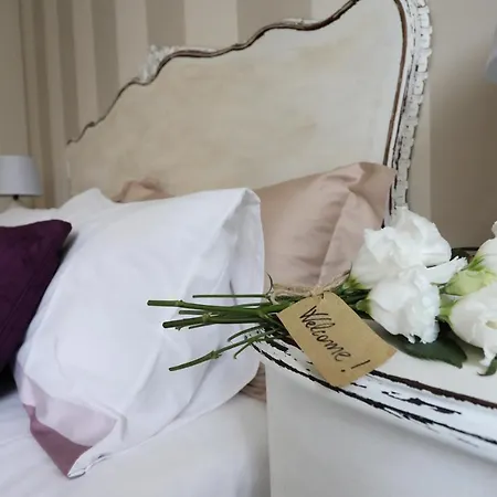 Tra I Campi Di Papaveri 3* Medesano