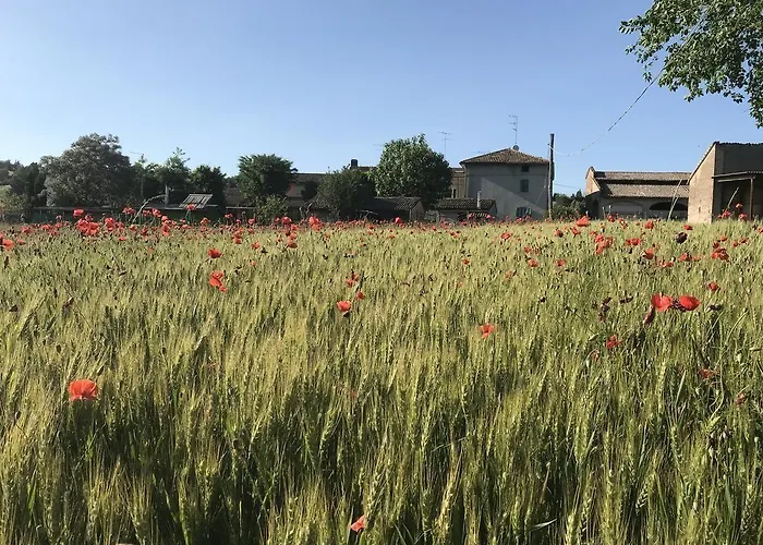 Tra I Campi Di Papaveri 3*